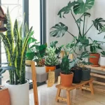 Decoração de ambientes