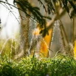 Internet das Coisas no jardim